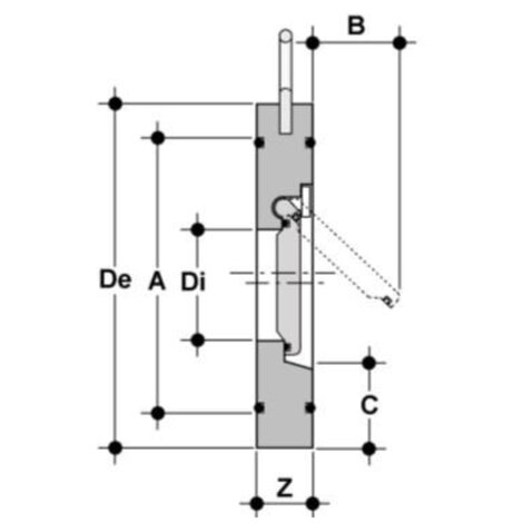 FROAF/C4 - Robinet Clapet cu arc Hastelloy C4 DN 32:400