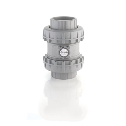 SSEAC/PTFE - Easyfit True Union spring check valve DN 65:100