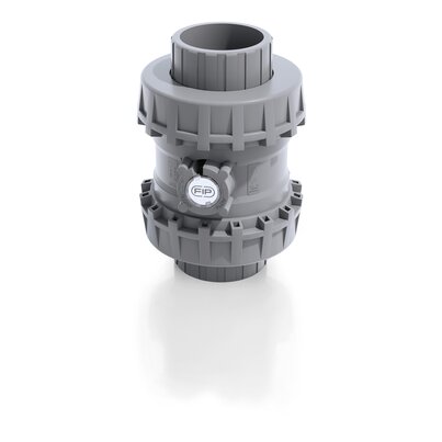 SSEIC/PTFE - Easyfit True Union spring check valve DN 65:100